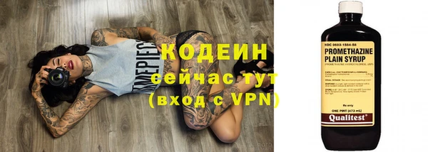 хмурый Медногорск