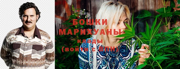 хмурый Медногорск