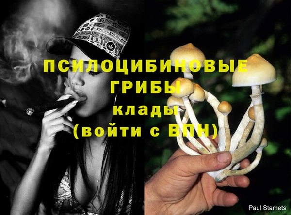 МДПВ Лагань